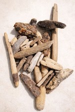 Natural Driftwood Lot Two 16 Statement Pieces, 3.75 lb Coastal D cor Terrar