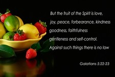 Galatians 5:22-23 Bible Quote " But the Fruit" Poster Motivational Print  12x18