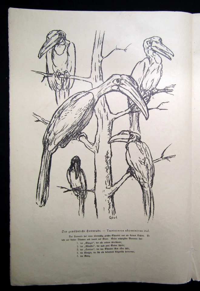 Cassirer Kriegszeit Künstlerflugblätter Nr.41 4 Original Lithographien 1915 - Bild 3 von 4