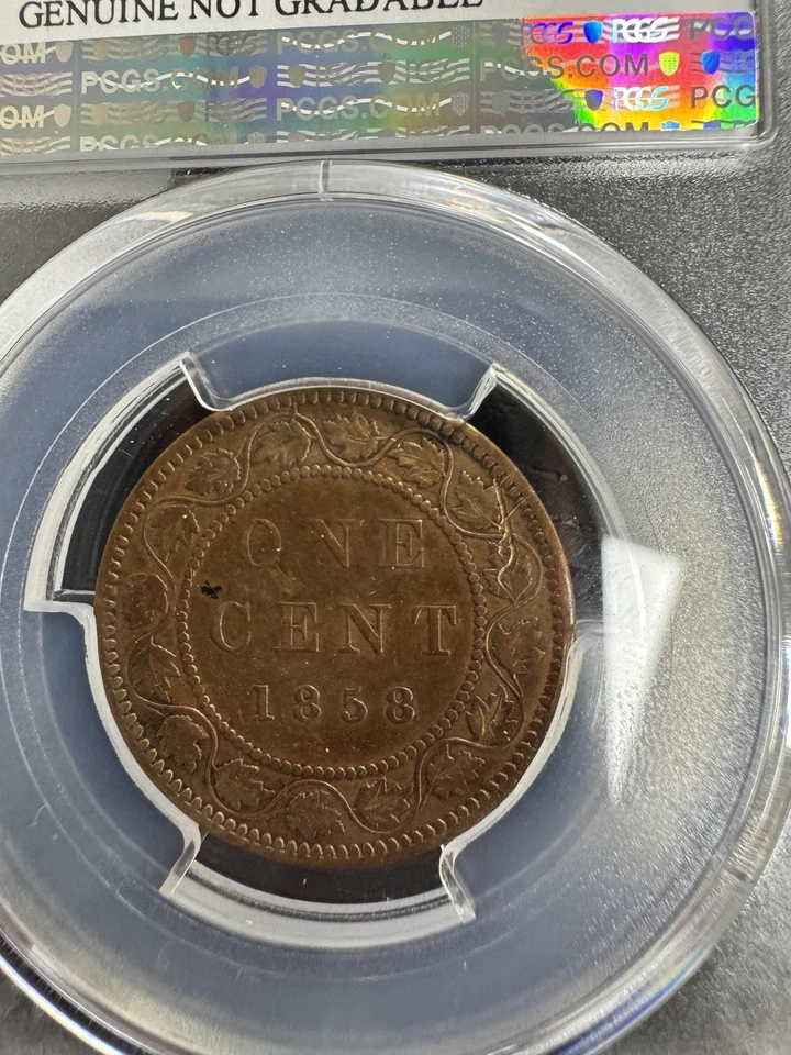 1858 Canada 1 Cent - PCGS Certified XF Detail (Cleaned) - KEY DATE! First Year - Image 4 of 4