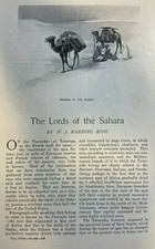 1903 Taraweks Touaregs of the Sahara Desert Africa  illustrated