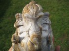 Picture 5 of 11