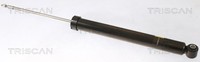 2X StoßDäMpfer Triscan 8705 16206 FüR Ford Focus 1 DAW DBW DFW 16V Flexifuel