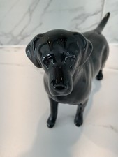 Beswick Black Labrador Figurine , 6 Inches X 8 Inches Approx , Made In England .