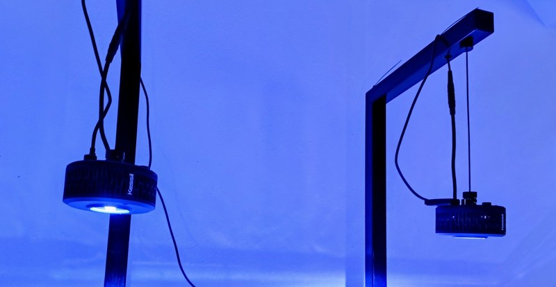 Pair of Kessil A360X lights for reef tank with dongle and interconnect cable