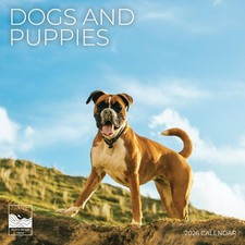 Calendar Dogs Puppies 2026 Wall Calendar 12x24 Inch Thick Paper Photography