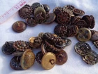 Antique Civil War Era Victorian Metal Buttons Lot of 44