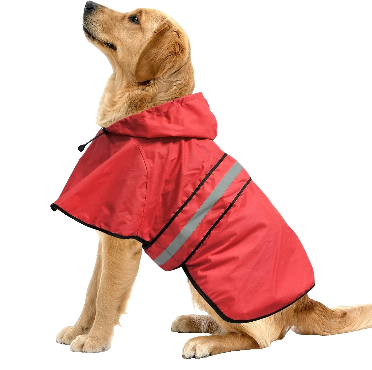 Dog Coats/Jackets