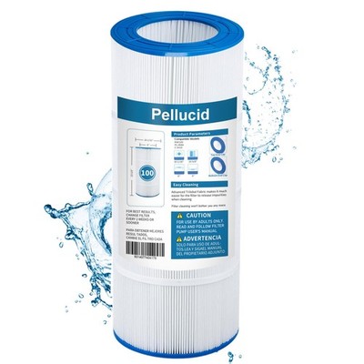 CC100 Pool Filter with CCRP100, PAP100, PAP100-4, C-9410, R173215, Filbur FC-...