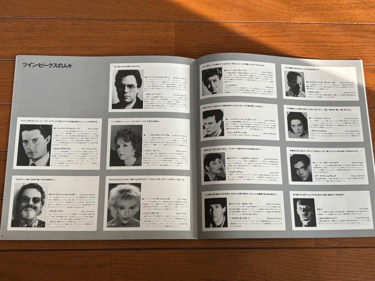 Twin Peaks LaserDisc LD Box Set 29 Episodes Japan Pioneer w/Guide