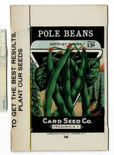 1920s POLE BEANS Seed Packet - NOS Fredonia Ny Vintage Brand Co Us Farm Garden