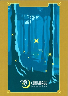 Congaree National Park night fireflies postcard