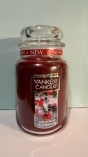 Yankee Candle Large Candle Jar 22OZ MULTIPLE SCENTS 