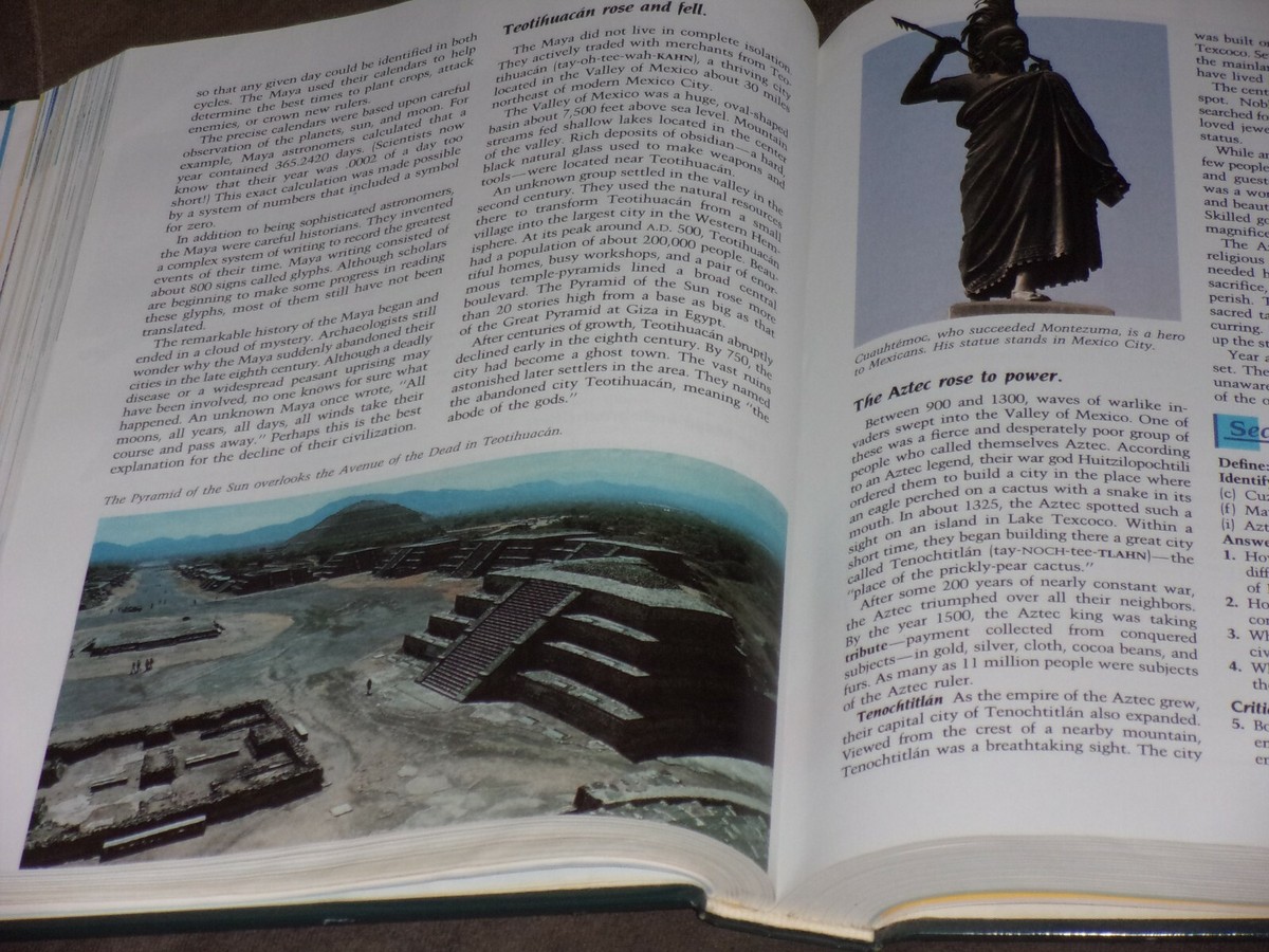 World History : Perspectives on the Past (Hardcover