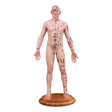 Acupuncture Human Model 18.9" Acupoint Doll Chinese Acupuncture Point Display