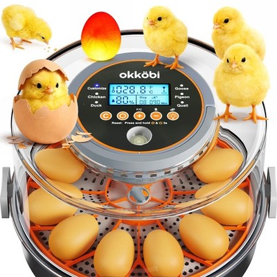 12 Egg Incubator with Automatic Egg Turning and Humidity Control   Temperatur...