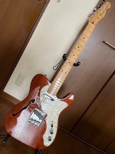 Fender Telecaster Thinline Mexico | eBay