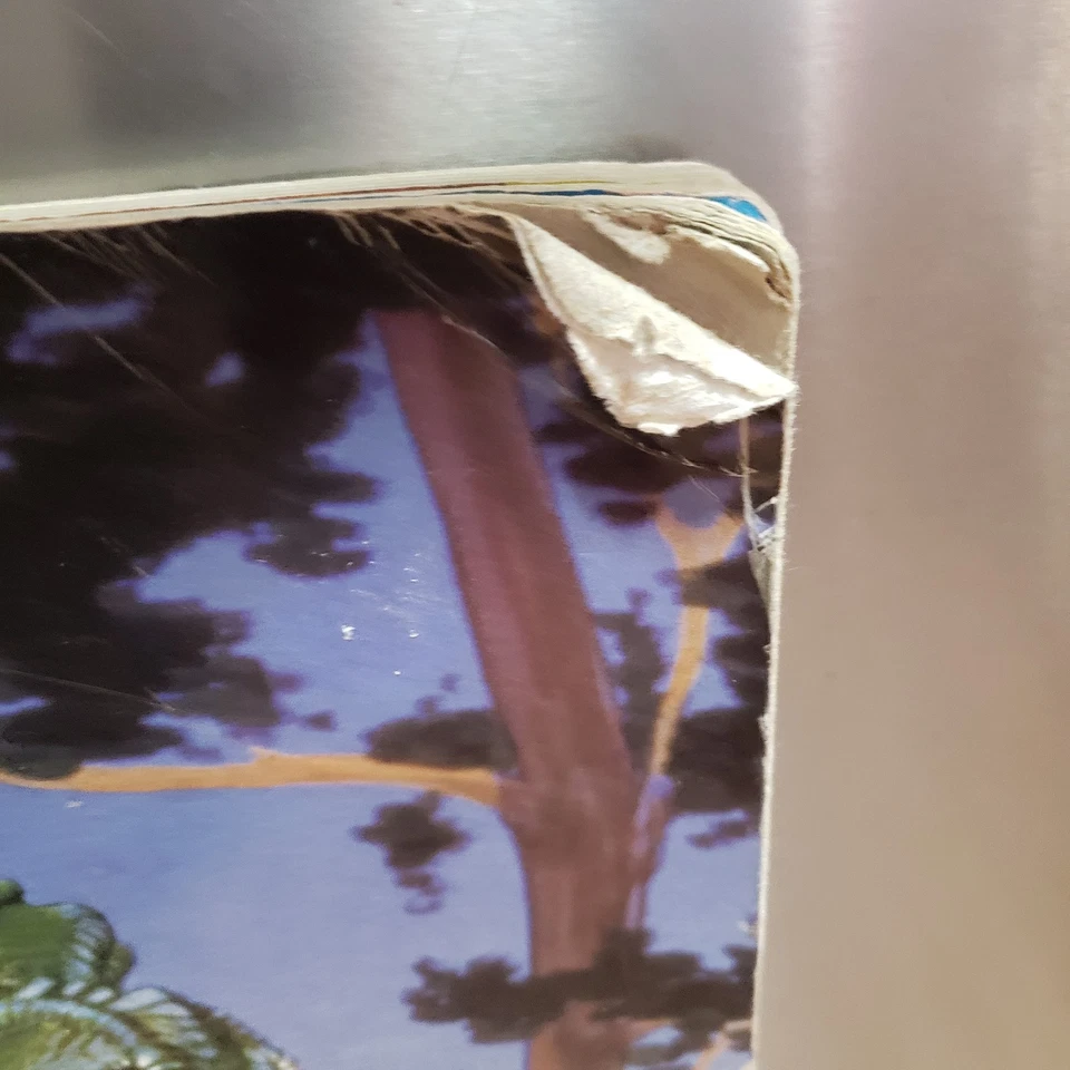 1998 The 3D Dinosaur Book 22.75" Oversized Giant Anaglyph 3D Board Book Vintage Foto 2 de 4