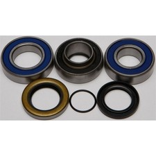 All Balls Chain Case Bearing & Seal Kit 14-1043