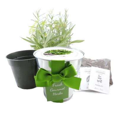 Kitchen Herb 3 Seed Starter Kit Indoor Outdoor Metal Pot