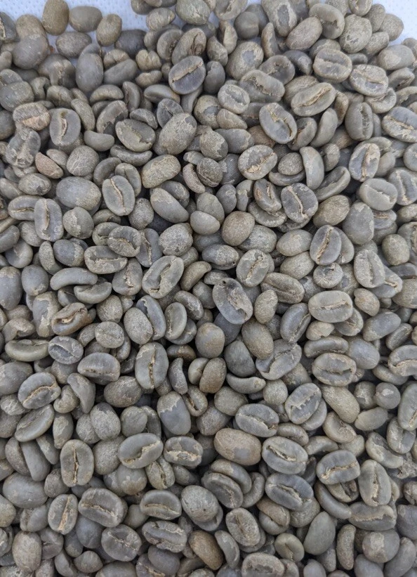 GRANOS DE CAFÉ VERDE SIN TOSTAR PERUANO HIGHLAND 5 LIBRAS - ARÁBIGA CULTIVADOS ORGÁNICAMENTE Foto 2 de 4