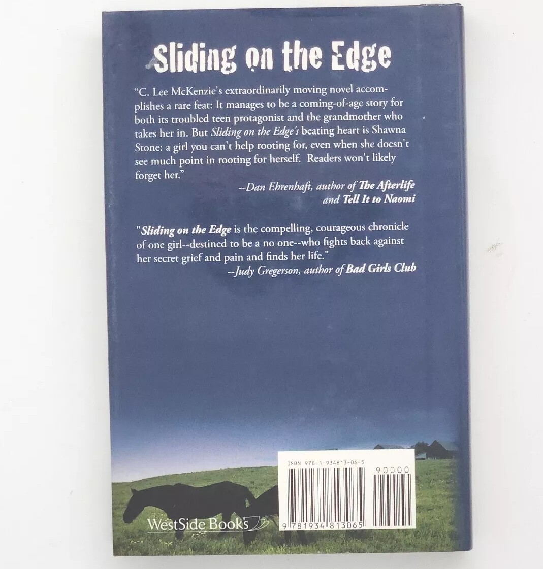 Sliding on the Edge By C. Lee McKenzie FIRST EDITION 2009 Hardcover Book thumbnail 2