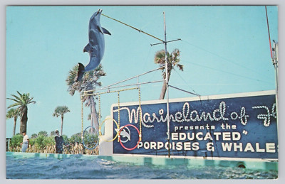 Post Card Trained Porpoise High Jumps- Marineland of Florida J465