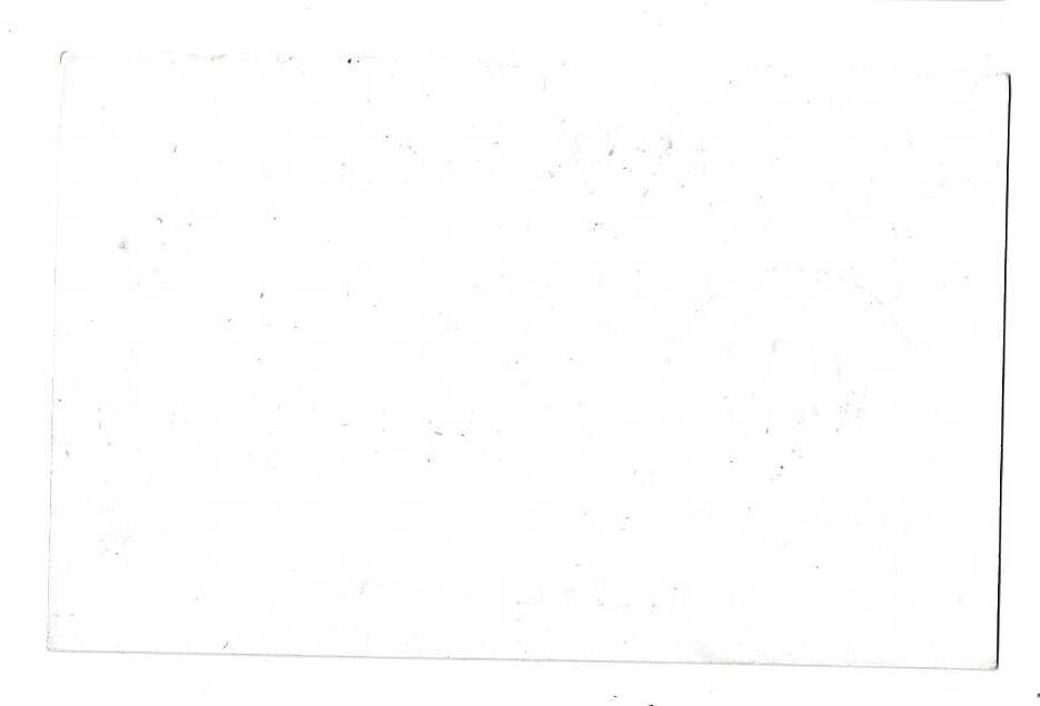 Bild 2 von 2