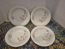 Set of 4 Mitterteich Bavaria Germany China Wild Flowers Bowls 9"