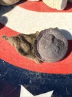 Dug Civil War 💥 🇺🇸 💣 Confederate North Carolina Coat Button W Cloth