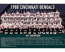 1988 CINCINNATI BENGALS AFC CHAMPIONS SUPER BOWL 23 8X10 TEAM PHOTO PICTURE
