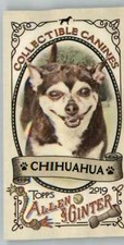 2019 Allen and Ginter Collectible Canines Mini #CC-16 Chihuahua