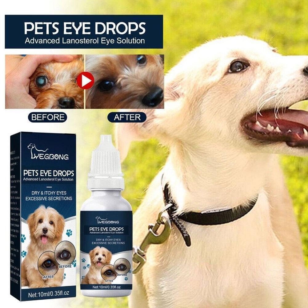Lanosterol Pet Eye Drops Lubricant Cataract Solution for Your Pet eBay