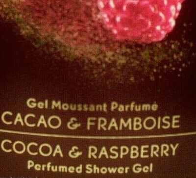Yves Rocher COCOA & RASPBERRY Perfumed Shower Gel HOLIDAY EDITION 10.7 fl oz NOS