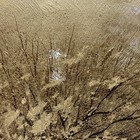 Gold tree modern art oil painting on canvas 24 x 36, texture, gold Leaf. — photo 9