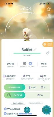 Pokemon Go Shiny Rufflet ( Reduced)