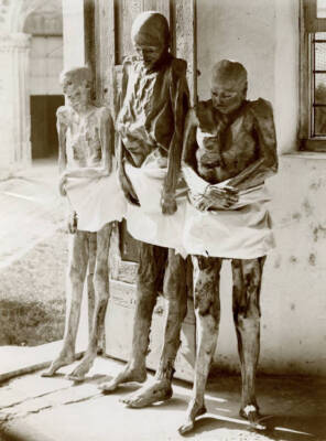 Mummies of Venzone, 14th-19th century, preserved in the crypt of t- Old Photo