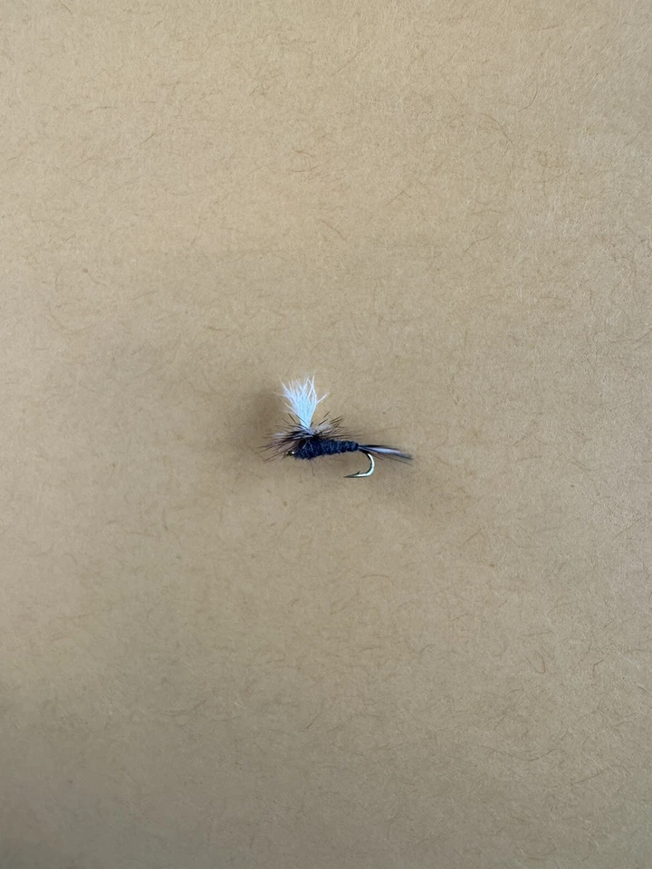 RIO Parachute Adams (Calf) Dry Fly 12 Count - Fly Fishing Size 20 - Image 3 of 4