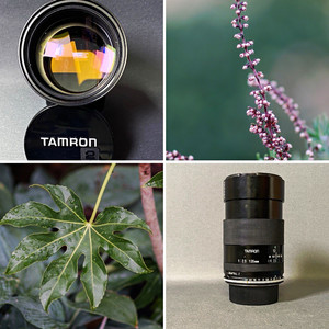 Tamron 135mm F2.5 BBAR MC Close Focus Adaptall-2 Lens Sample Pictures