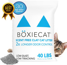 Unscented Clumping Clay Cat Litter 40 lb 30 Day Odor Control Dust Free