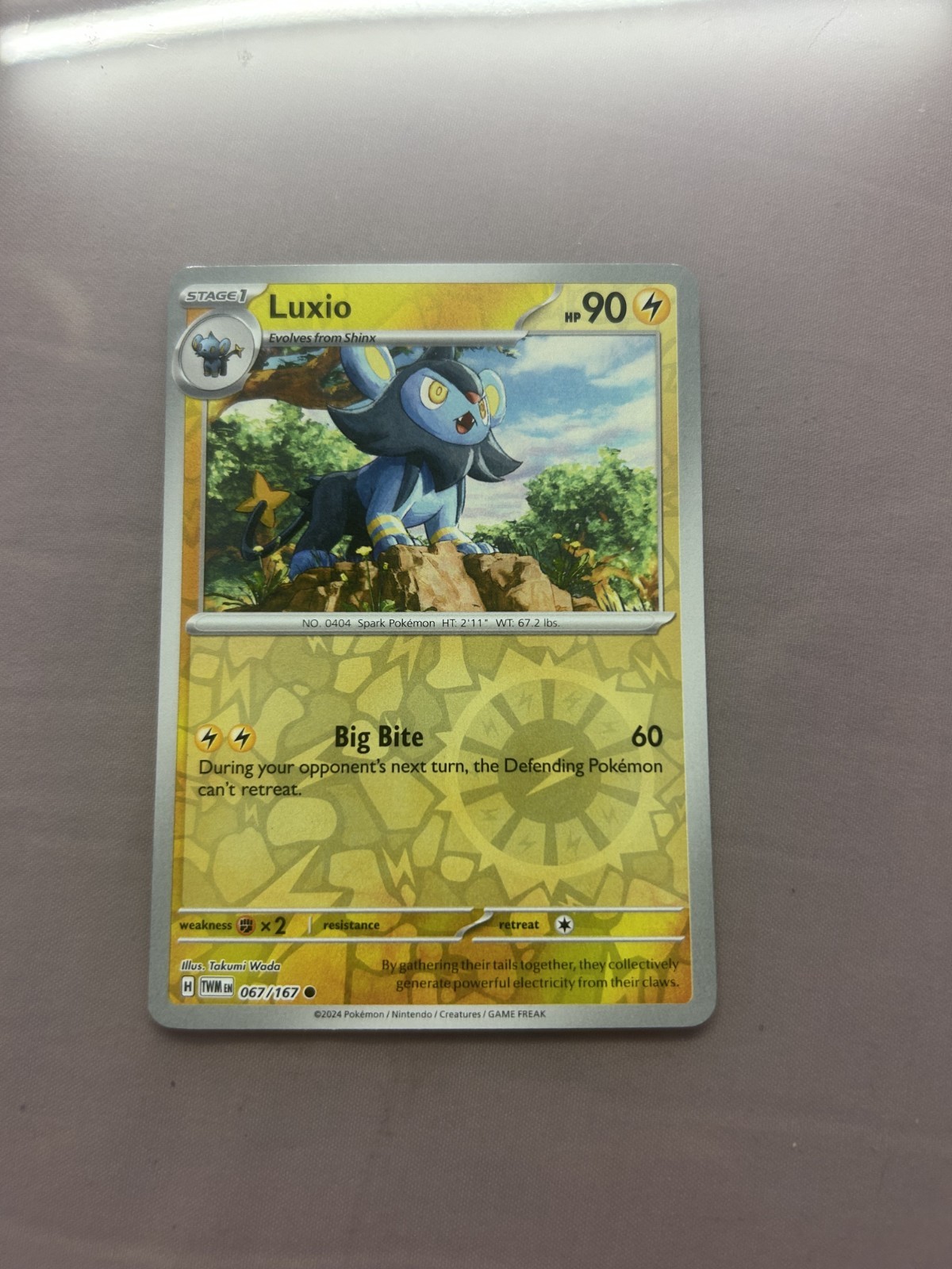 Luxio Reverse Holo Pokémon Card 