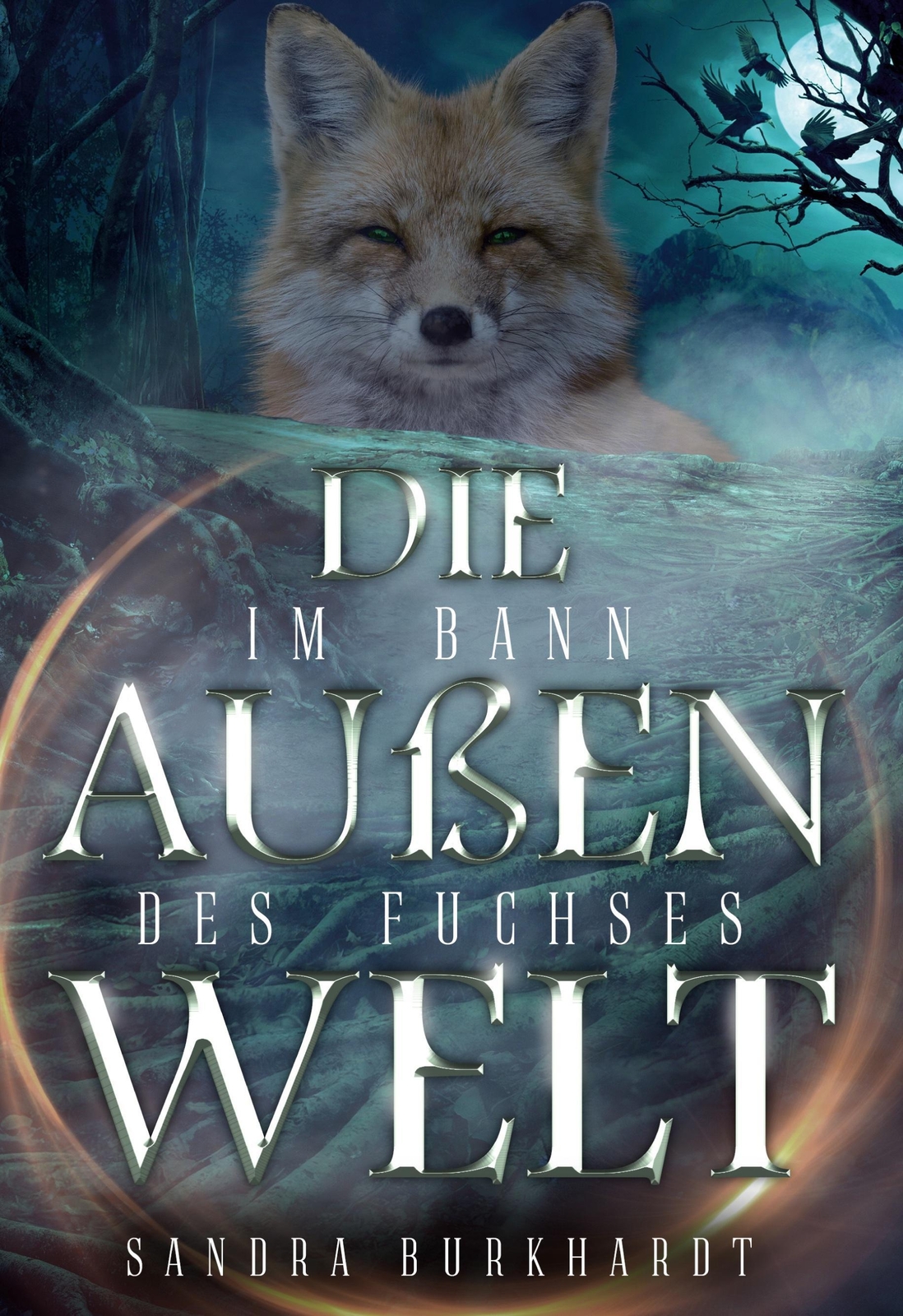 Thumbnail - Die Außenwelt - Sandra Burkhardt - 9783753405063