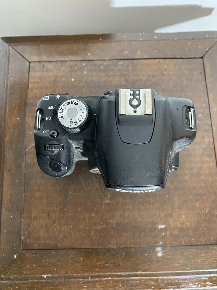 Canon EOS 500D, photo 4 sur 5
