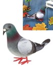 Bild 2 von 5
