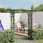 vidaXl Garden Arch, Arch Trellis, Weather-Resistant, 80.3"H x 78.7"W Black vida