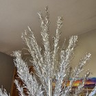 Foto 2 di 12