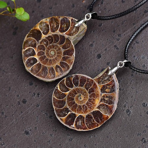 Natural Conch Shell Fossil Quartz Crystal Pendant Healing Mineral Necklace Stone - Picture 5 of 10
