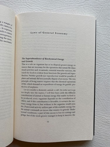 The Accursed Share: An Essay on General Economy Vol. I, II & III by G. Bataille - Picture 7 of 20