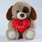 Imagen 4 de 12