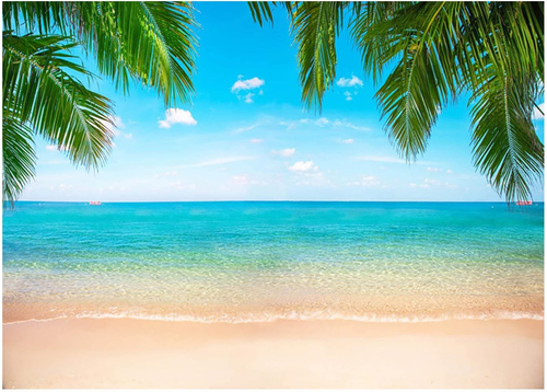Beach Ocean Backdrop, Hawaii Tropical Background Summer Photography Picture Luau - Picture 11 of 12
